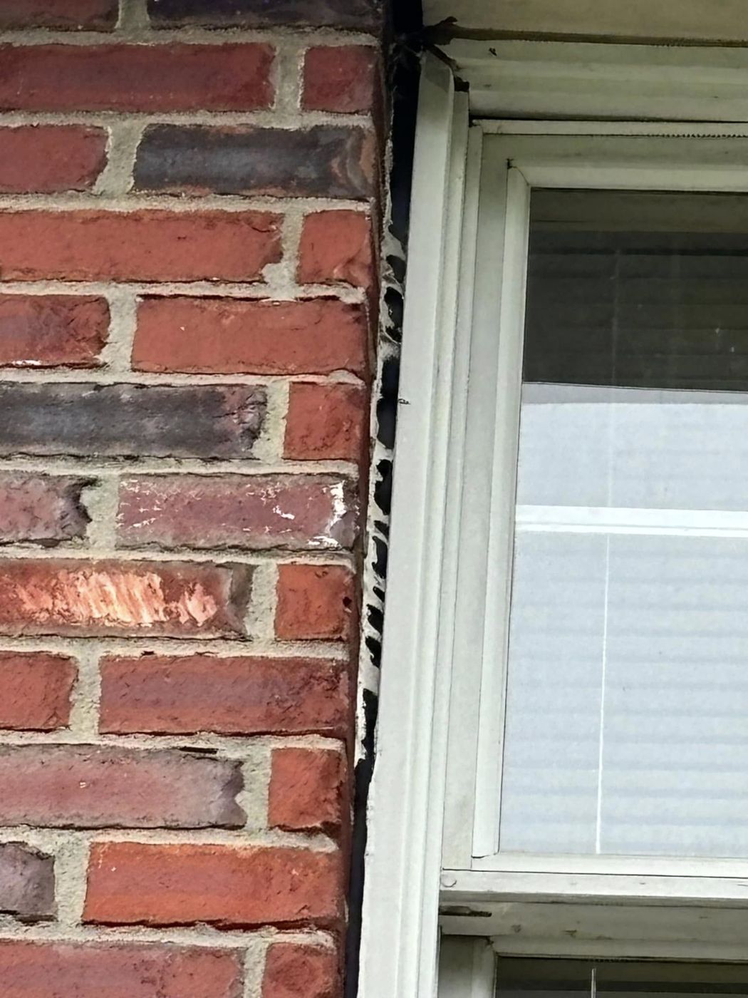 Failed window seal
